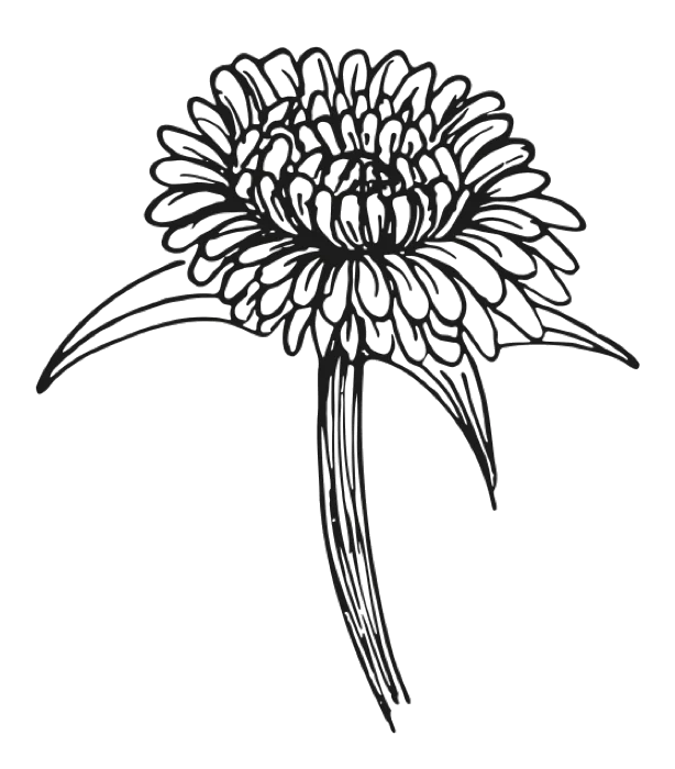 Ilustración de un diente de león con la flor abierta, Autismo con Amor