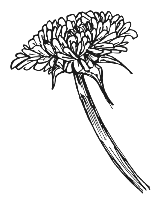 Ilustración de una esfera de diente de león, Autismo con Amor